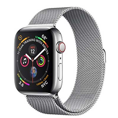 Apple Watch Series 4 (Stainless Case 40 mm)