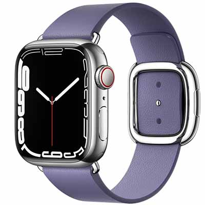 Apple Watch Series 7 (GPS+Celluar) 41MM Stainless Steel