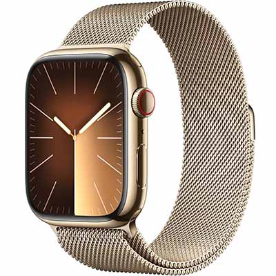 Apple Watch Series 9 (GPS) 41MM Stainless