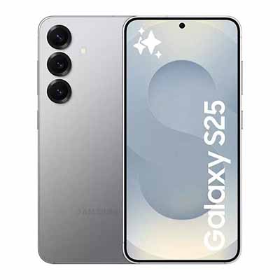 Samsung Galaxy S25 256 GB