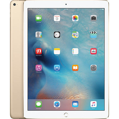 iPad Pro 12.9" Display